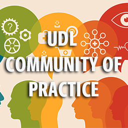 UDL Community of Practice