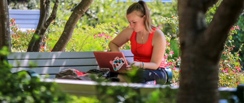 Girl studying in the Horseshoe