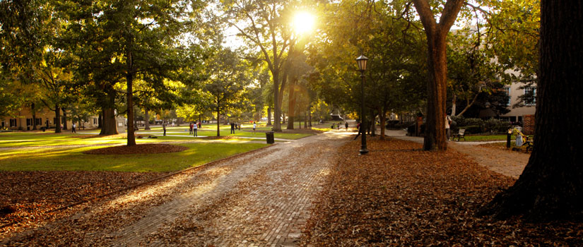 Photo of USC campus