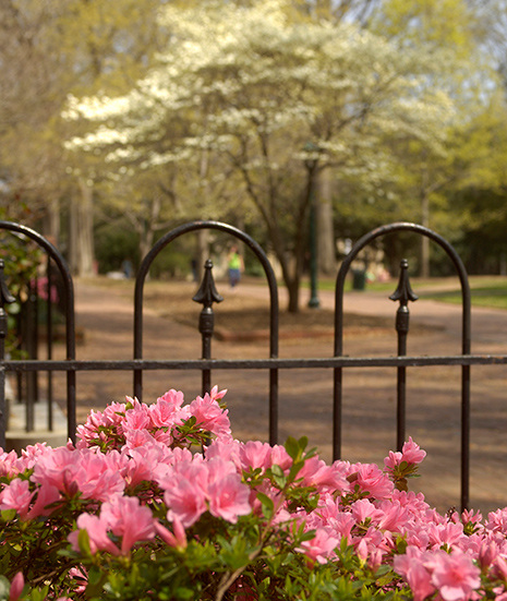 USC's Historic Horseshoe in Spring