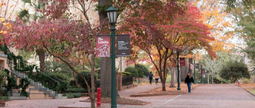 Brick walkway in front of historic buildings on the Horseshoe, with leaves showing fall colors and students walking along paths