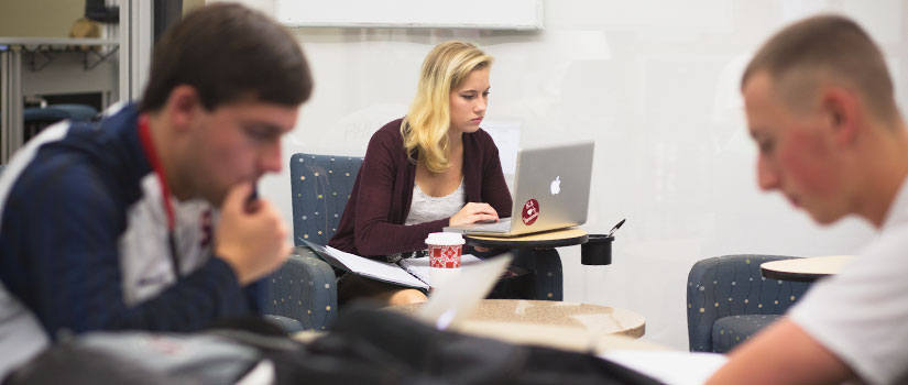 students studying in the library